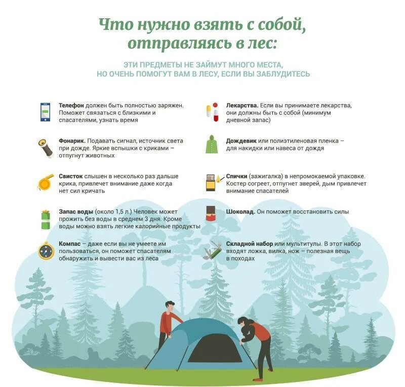 Что делать во время прогулки