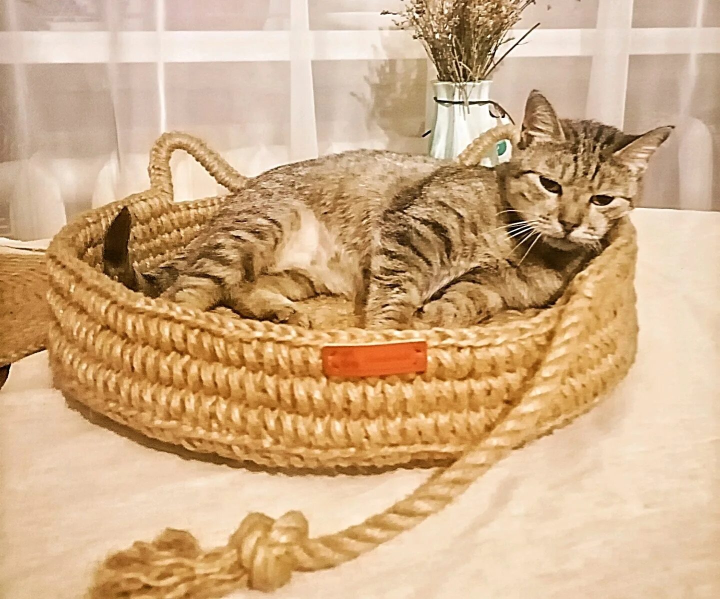 Лежанка из джута. Лежанка для кошки. лежанка для кошки из джута. лежанка для кошки из джута крючком. лежанки для животных из пряжи.
