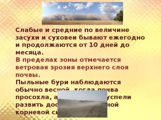 Районы суховеев. Засухи и суховеи. Презентация на тему суховеи. Засухи и суховеи в России. Суховей зона природная.