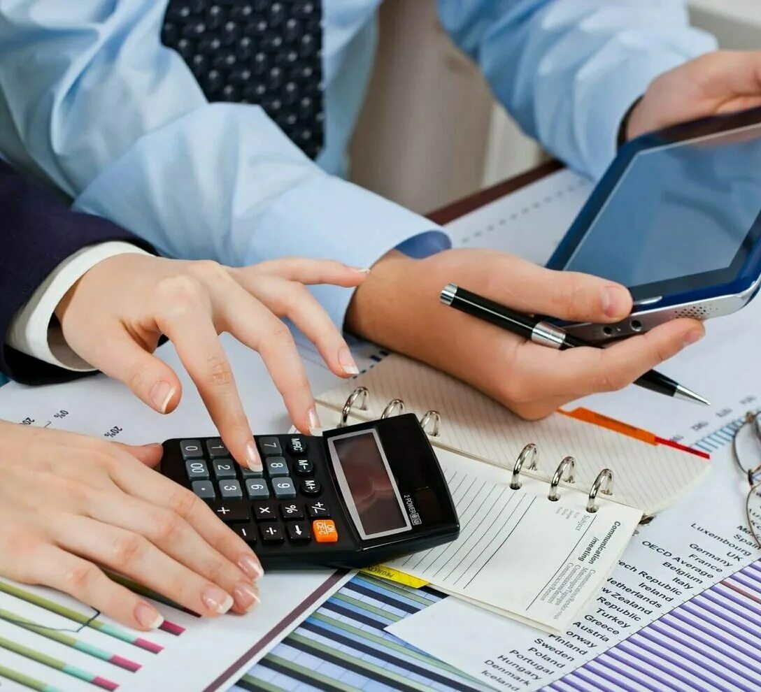 Данные предоставляемые бухгалтером
