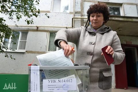 Явка на 12