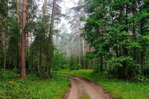 Рязань тропы