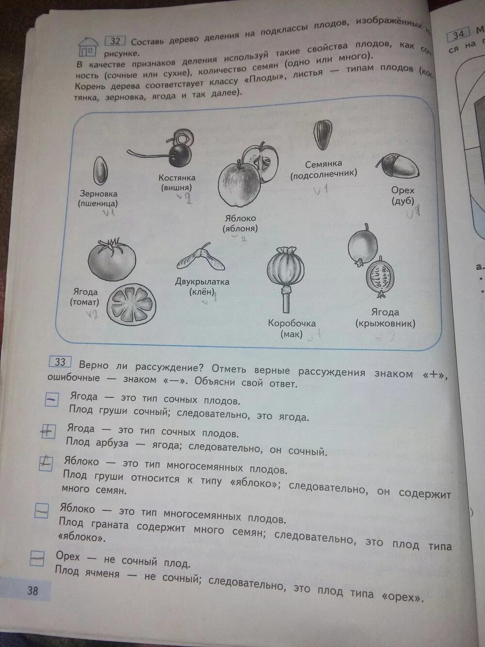 Решебник 4 класс 1 часть. Гдз тетради по информатике 4 класс Бененсон Паутова 1 часть. Информатика 1 класс учебник. Информатика 4 класс рабочая тетрадь Бененсон. Информатика 4 класс 1 часть.