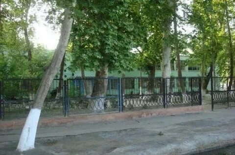 Покажи 20 школу