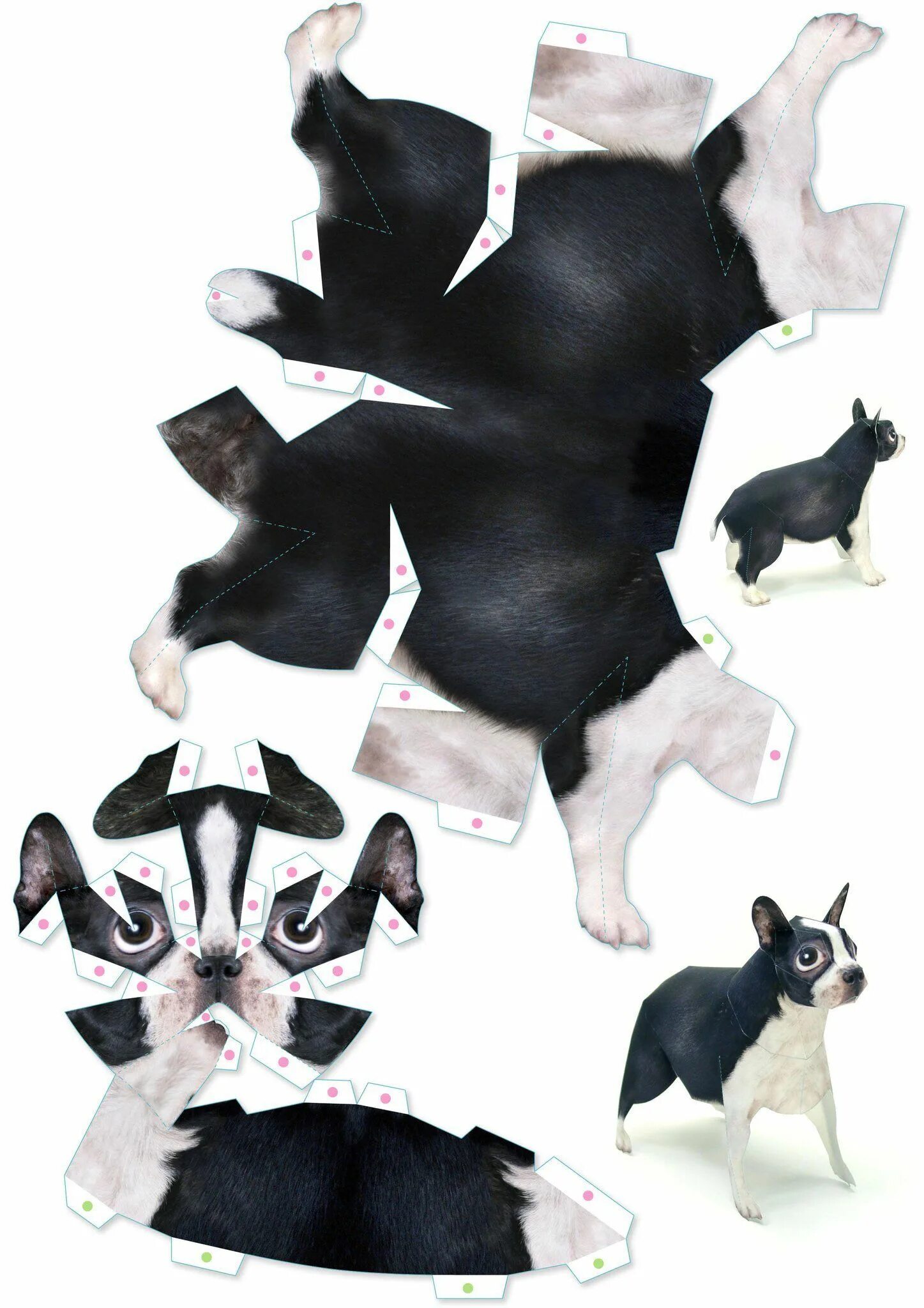 Бумажные собаки из тиктока. Развёртка собаки для склеивания. Бумажные животные из тт. Бумажные животные из тт. Животные из бумаги.