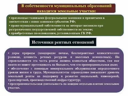 В чьей собственности лесные участки