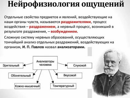 Возникновение процесса внимание