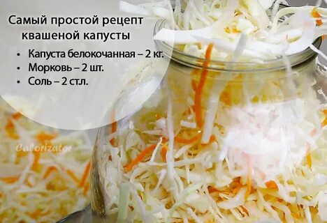 Молодая капуста заквасить