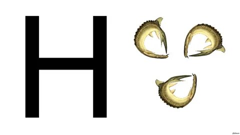 Ребус рыба