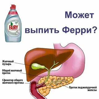 Пищеварительный орган вырабатывающий желчь