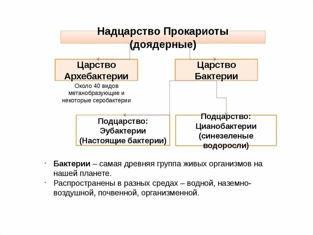 Надцарство прокариоты