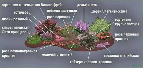 Расстояние между пионами при посадке