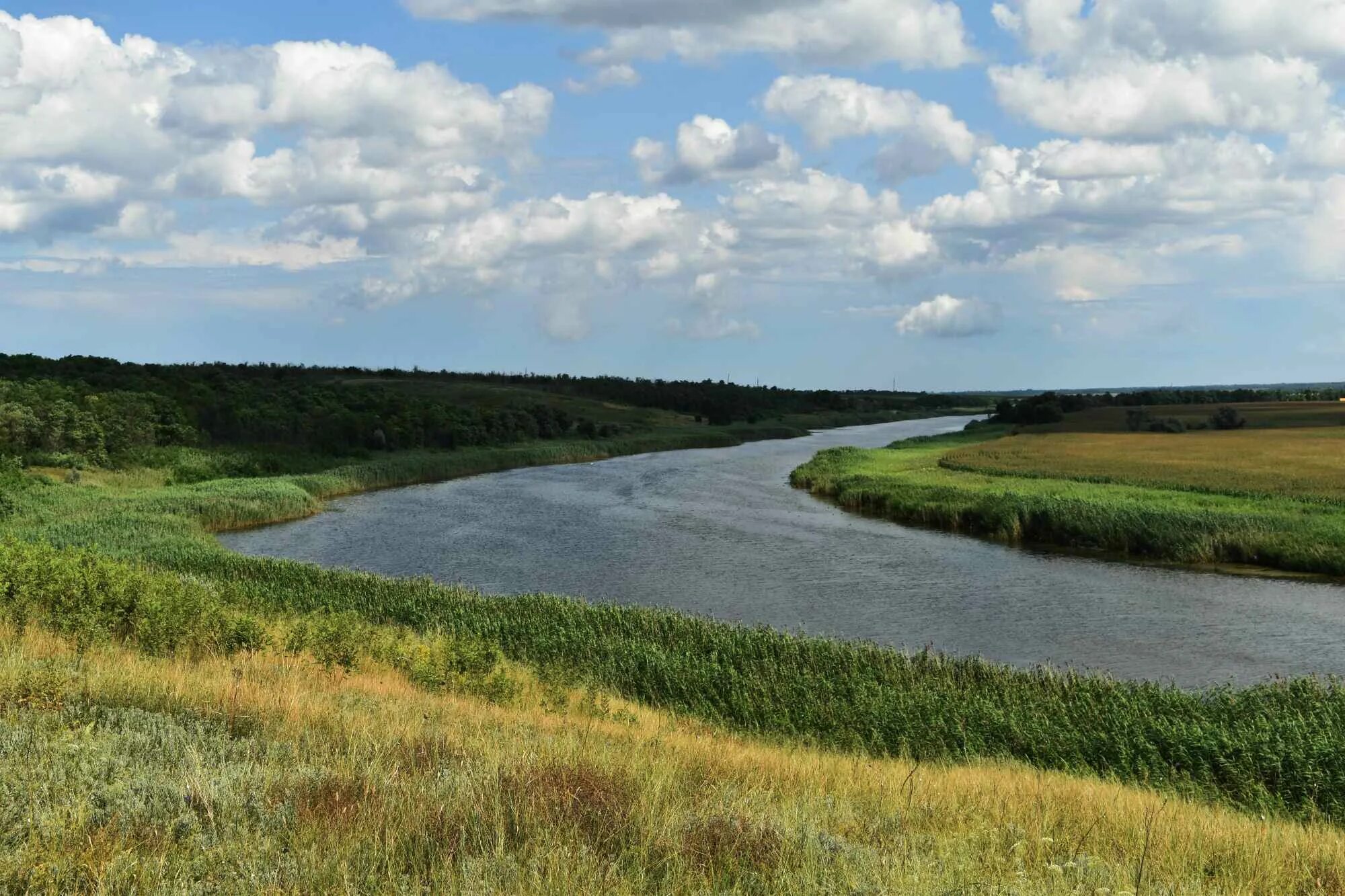 Прикубанская равнина река Кубань. Реки Азово Кубанской равнины. Река ея Краснодарский край. Станица Костромская Краснодарский реки. Река ея рассказ