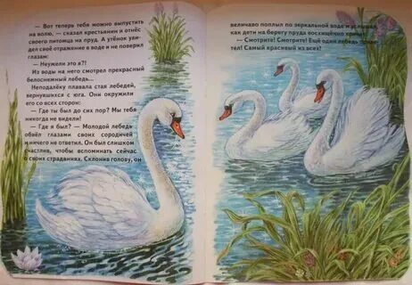 Гадкий утенок. Хорошо ли умел плавать гадкий утенок ответ. Гадкий утенок союзмультфильм 1956. Презентация сказки гадкий утенок. Хорошо ли умел плавать гадкий утенок ответ.