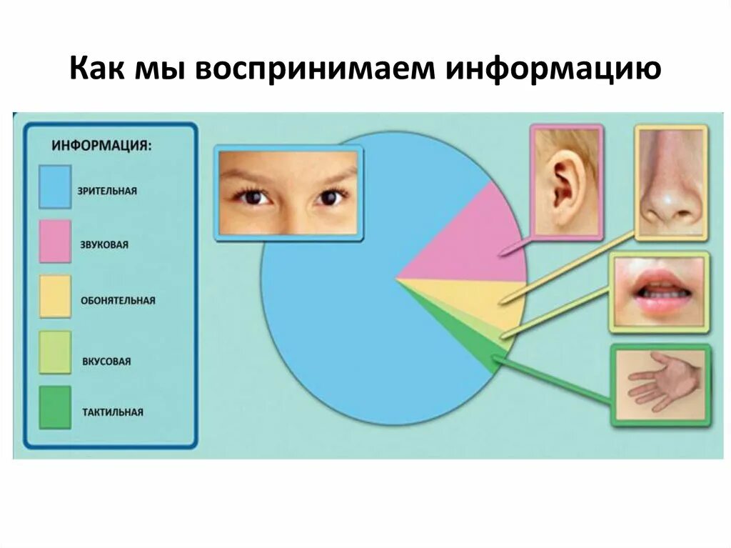 Как мы воспринимаем информма. Восприятие информации человеком. Человек воспринимает информацию. Как воспринимается информация.