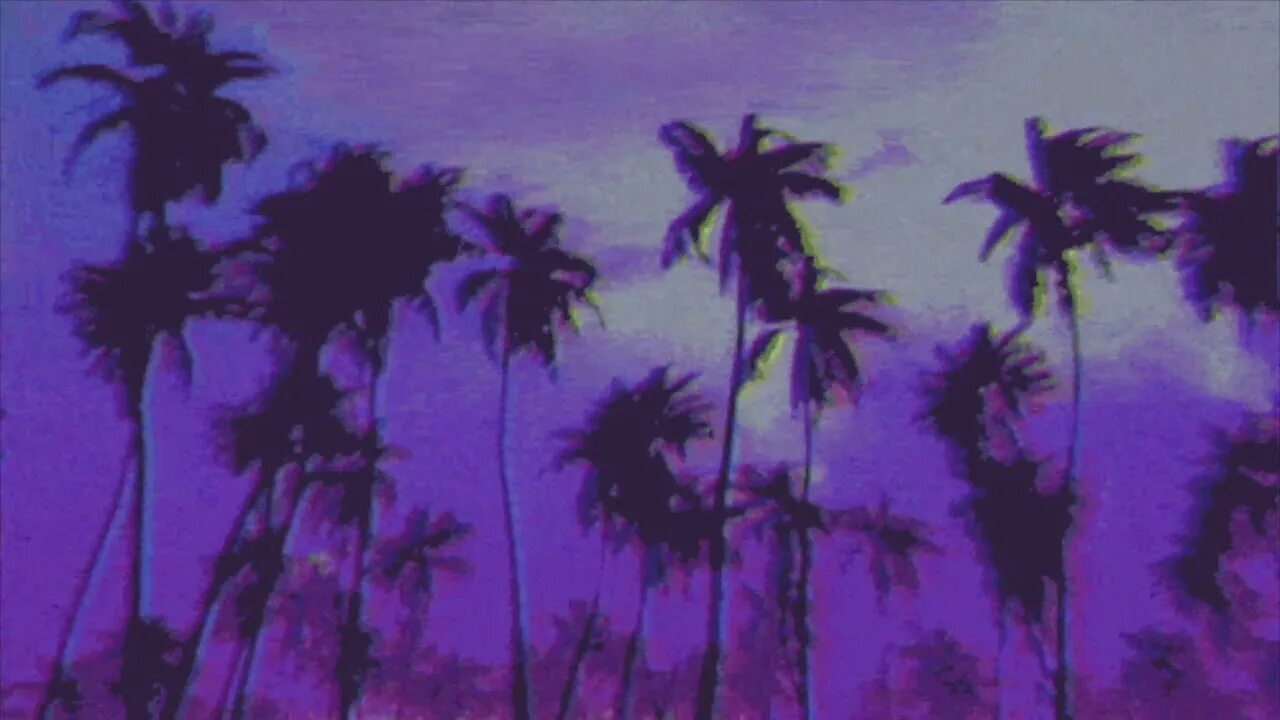 Bloody brazil phonk slowed. Пальмы Suicideboys. Пальмы VHS. VHS на рабочий стол. Природа VHS.