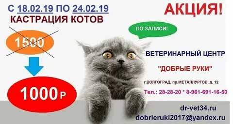 До скольки можно кастрировать