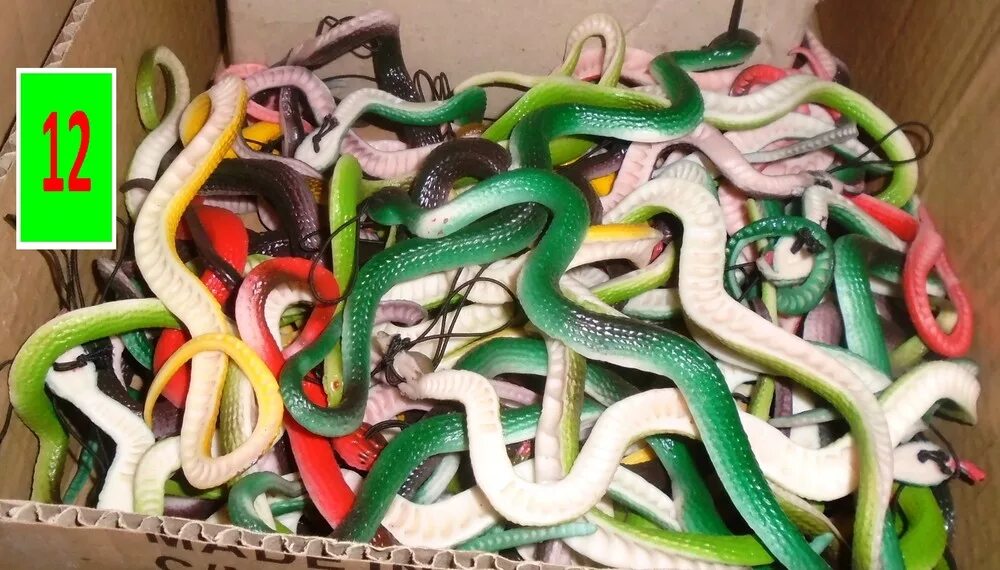 Где можно купить змей. Резиновая змея. Набор змей резиновых. Игрушки змеи. Зоомагазин со змеями.