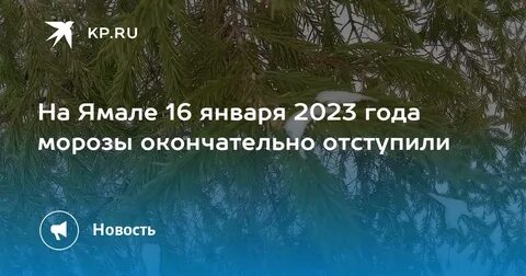 Погода завтра 16 января