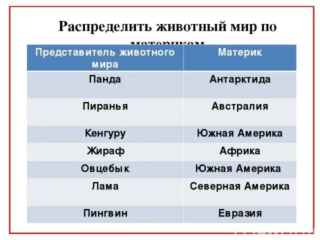 Животные и растения по материкам. Распределить животных по материкам. Материки животные и растения. Растения разных материков.