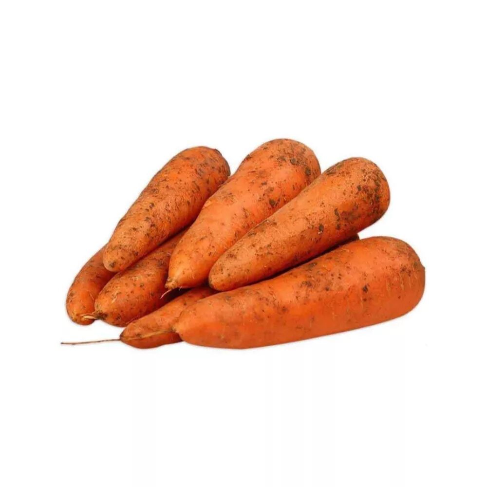 10 килограмм моркови. Морковь новый урожай. Морковь кг. Морковь 1кг. Морковь немытая.