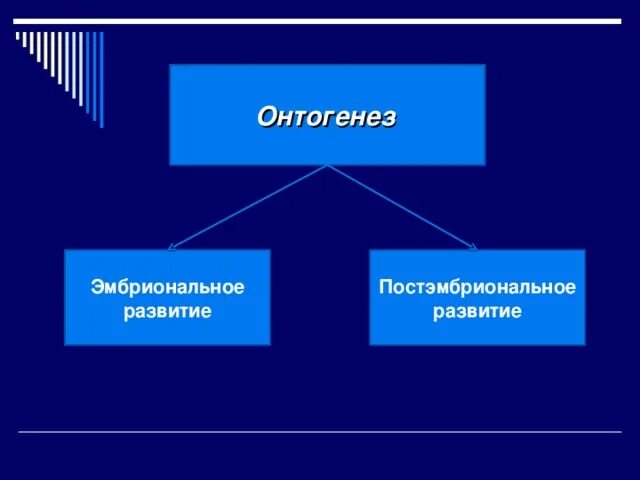 Онтогенез эмбриональное постэмбриональное. Онтогенез эмбриональное и постэмбриональное развитие. Эмбриональное развитие и постэмбриональное развитие. Эмбриональное и постэмбриональное развитие.