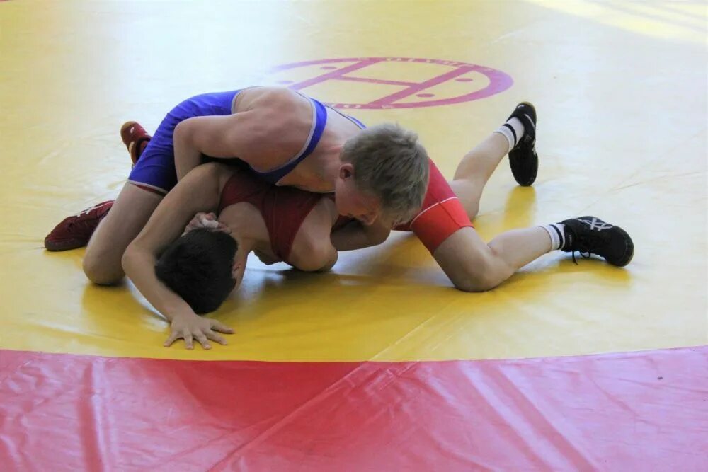 спортивная борьба дисциплины