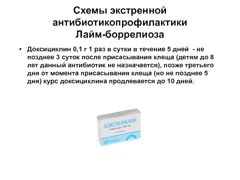 Укус клеща какие антибиотики. Антибиотики при профилактике боррелиоза. Антибиотик для профилактики боррелиоза. При боррелиоз антибиотик. Антибиотик боррелиоз профилактика.