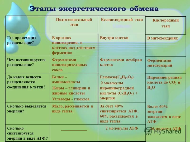И т д 3 этап. Сортировка одномерного массива методом прямого выбора с++. И т д 3 этап. И т д 3 этап. Энергетический обмен схема егэ.