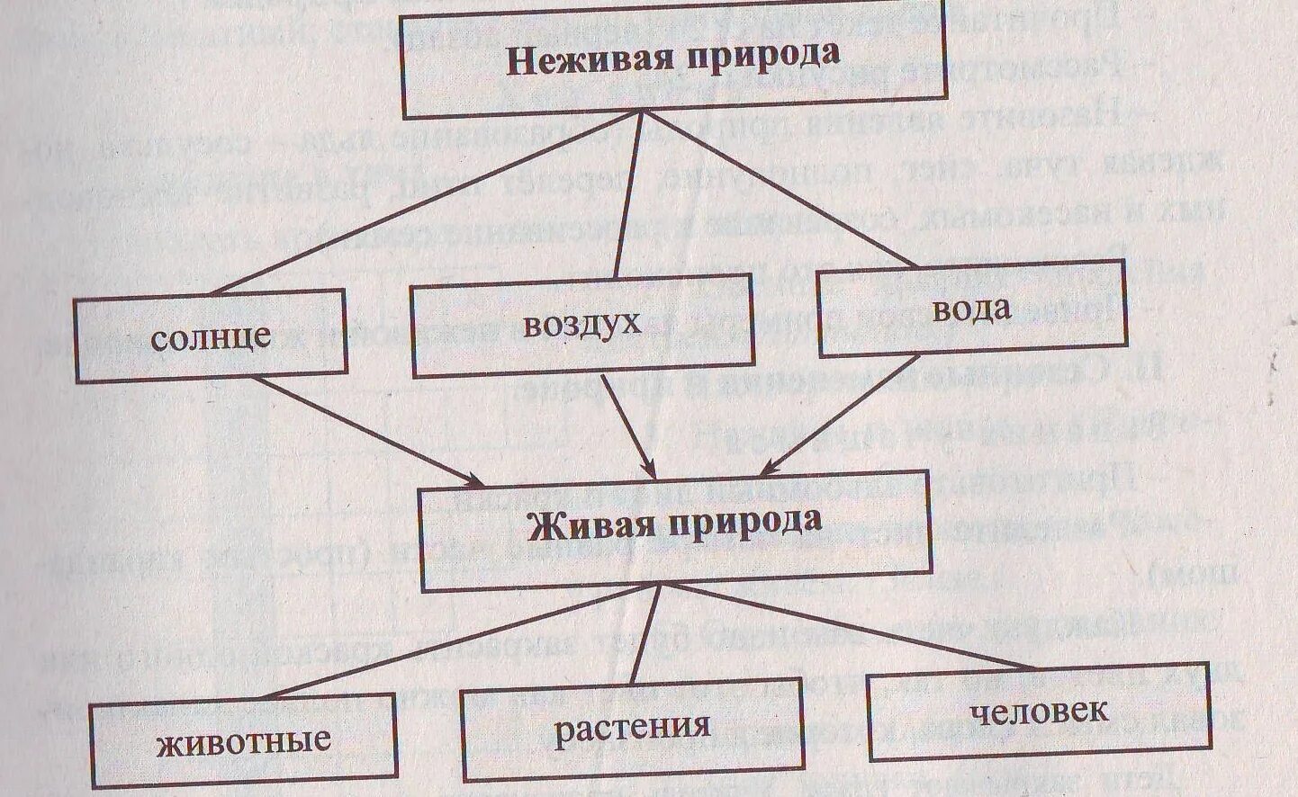 Установите соответствие между живой природой и. Схема связи между живой и неживой природой 2 класс окружающий мир. Схема связи живой и неживой природы 2 класс. Взаимосвязь живой и неживой природы 2 класс окружающий мир. Связь между объектами живой и неживой природы 2 класс.