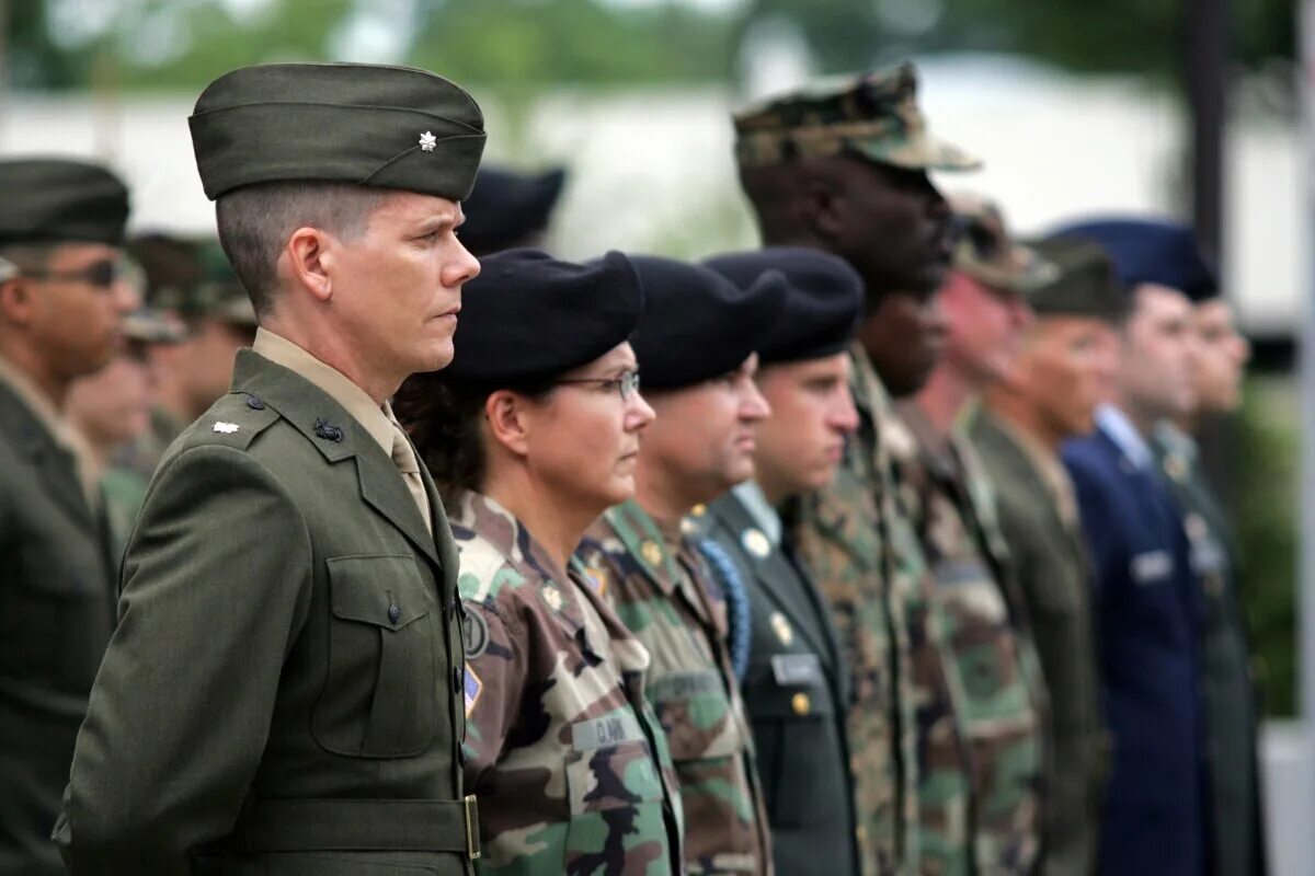 Добровольцы 2009. Добровольцы 2009. Добровольцы 2009. Добровольцы 2009. Добровольцы 2009.