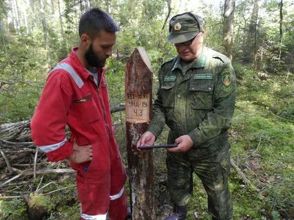 Форма лесничества