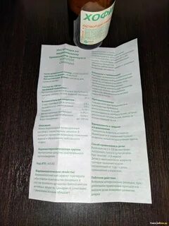 Хофитол как принимать взрослым до еды