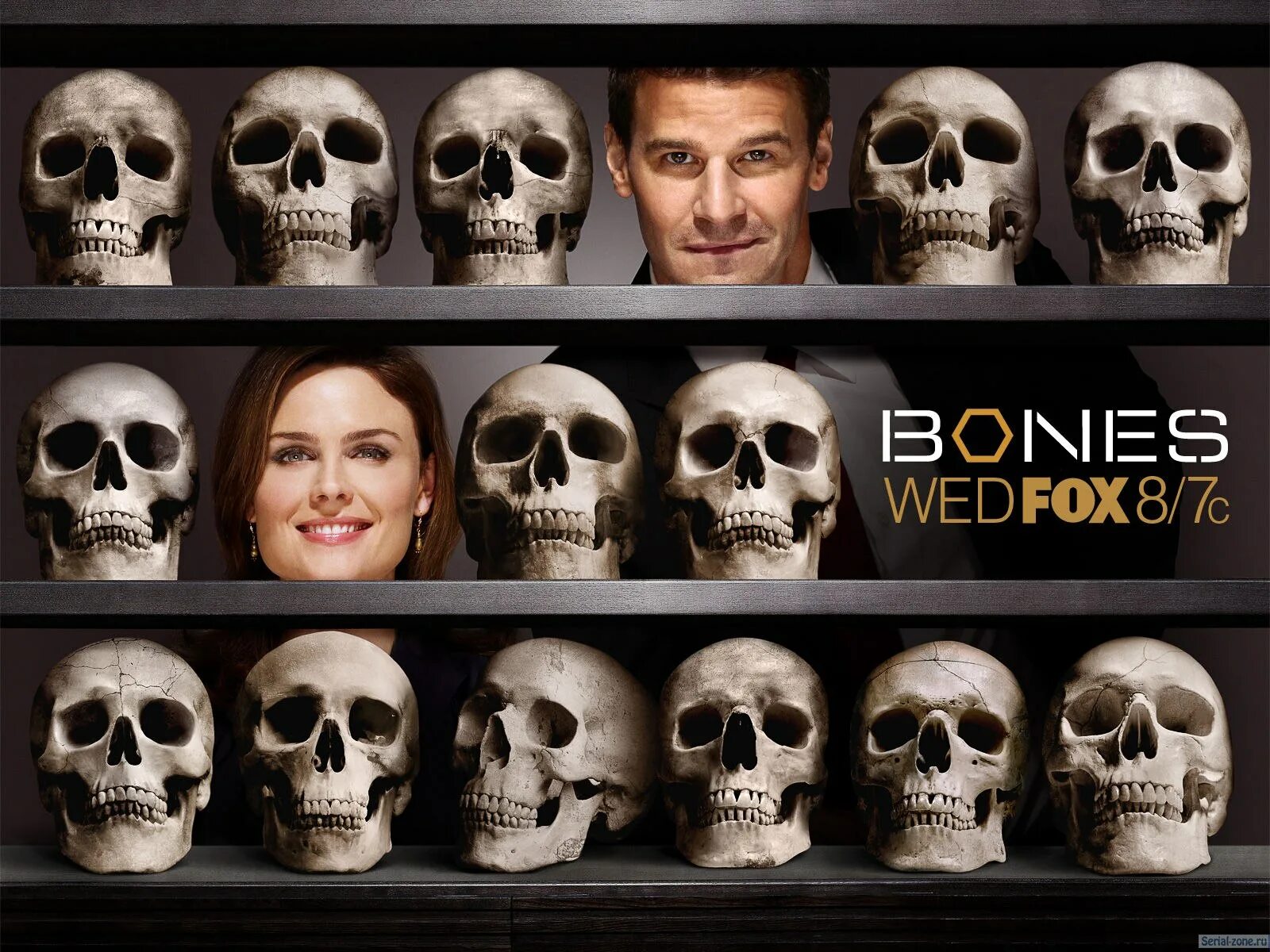 Кости черепа. Костя bones