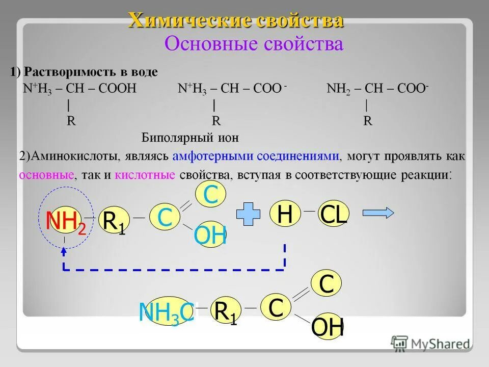 Аминокислоты с ионами тяжелых металлов. Химические опыты с аминокислотами. Аминокислоты в порядке возрастания основных свойств. Амины опыты.