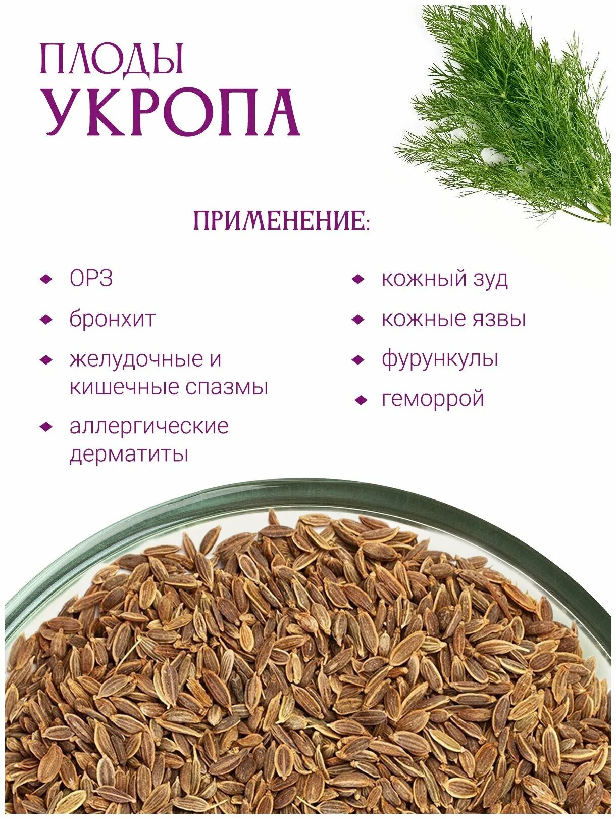 Семена укропа отзывы применения. Укроп семена. СИМАН укропа. Укроп сушеный семена. Семя укропа.