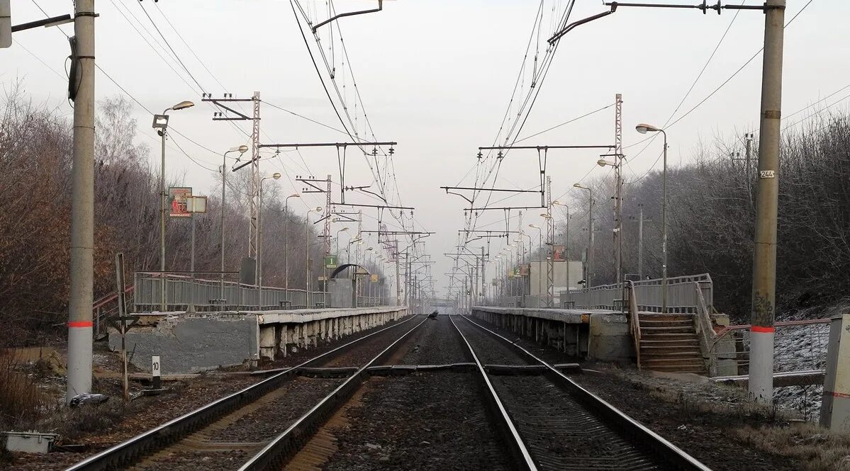 Расписание электричек перхушково москва. Здравница жд станция. Электрички белорусская здравница. Пригородные поезда зима. Здравница жд станция.