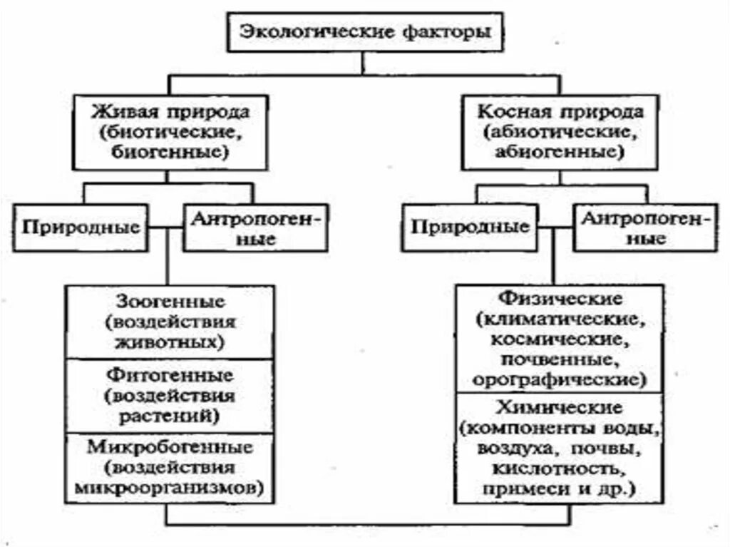 Исследования влияния абиотических и антропогенных факторов. Примеры экологических факторов 5 класс биология. Таблица экологические факторы абиотические биотические. Абиотические и биотические экологические факторы. Исследования влияния абиотических и антропогенных факторов.