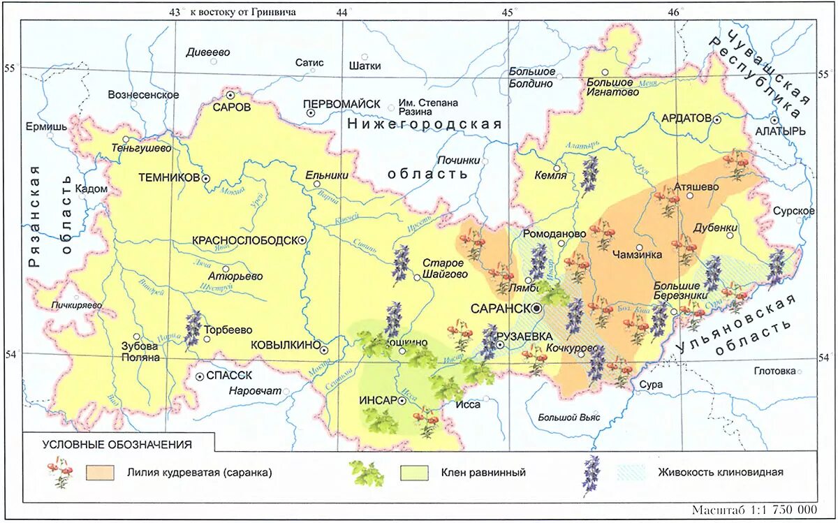 Какие районы входят в состав мордовии. Карта растительности Мордовии. Карта растительности Республики Мордовия. Мордовия на карте. Республика Мордовия границы.