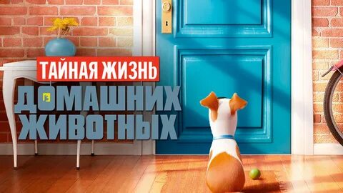 Почему тайная жизнь
