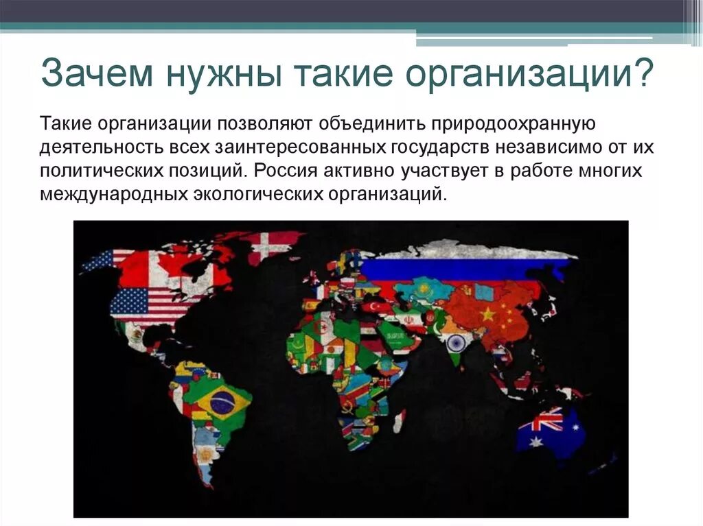 Международные организации. Международные организации презентация. Зачем нужны международные организации. Международные природоохранительные организации.