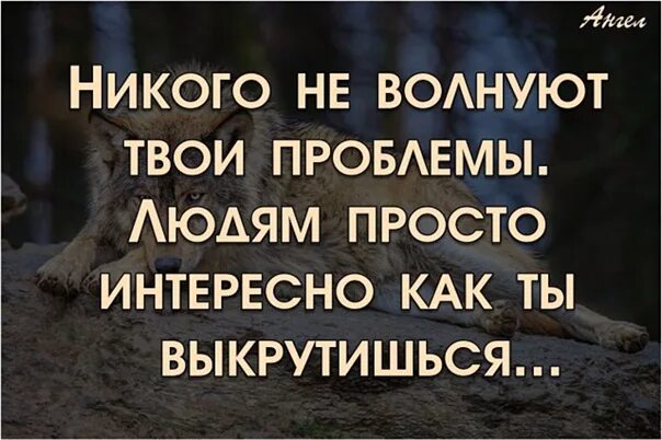 Мнение не волнует. НТ кого не интересуют твои проблемы. Твои проблемы никому не нужны цитаты. Никого не интересуют твои проблемы цитаты. Твои проблемы это твои проблемы.