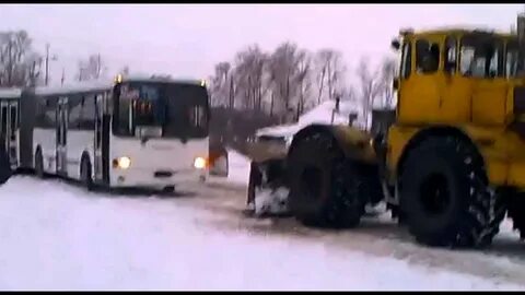 103 автобус белово