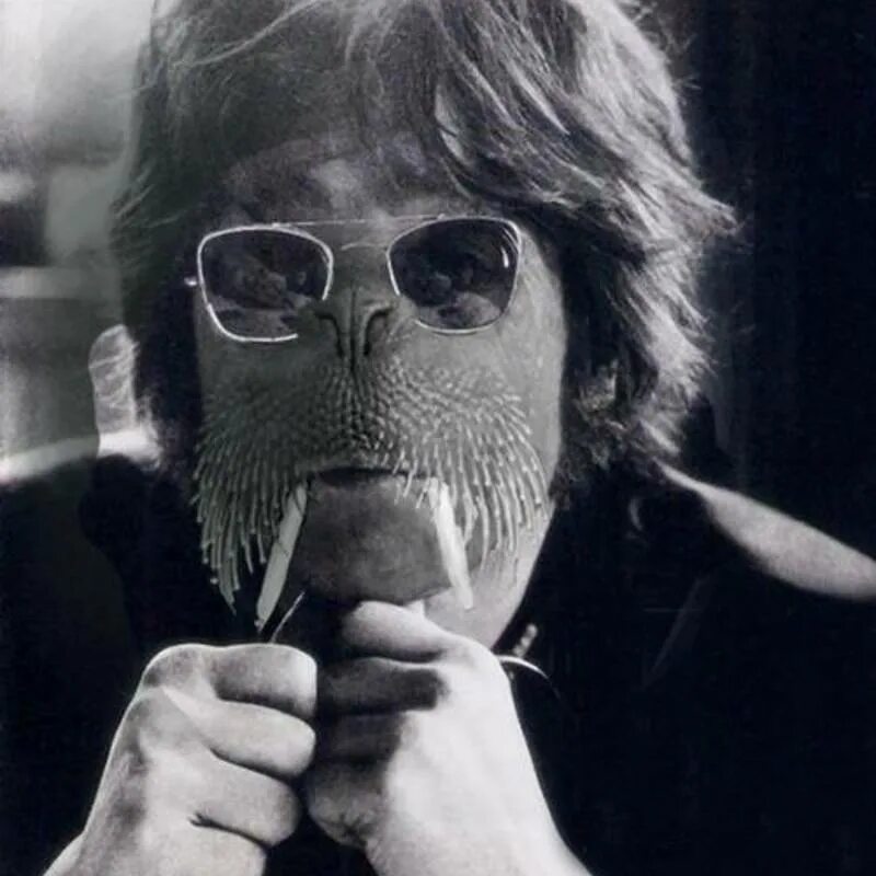 Beatles walrus. Я морж джон леннон. 1967 - magical mystery tour. Я морж битлз. Я морж битлз слушать.