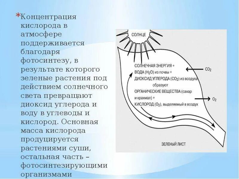 Концентрация кислорода. Концентрация кислорода в атмосфере. Изменение содержания кислорода в воздухе. Содержание кислорода в атмосфере.