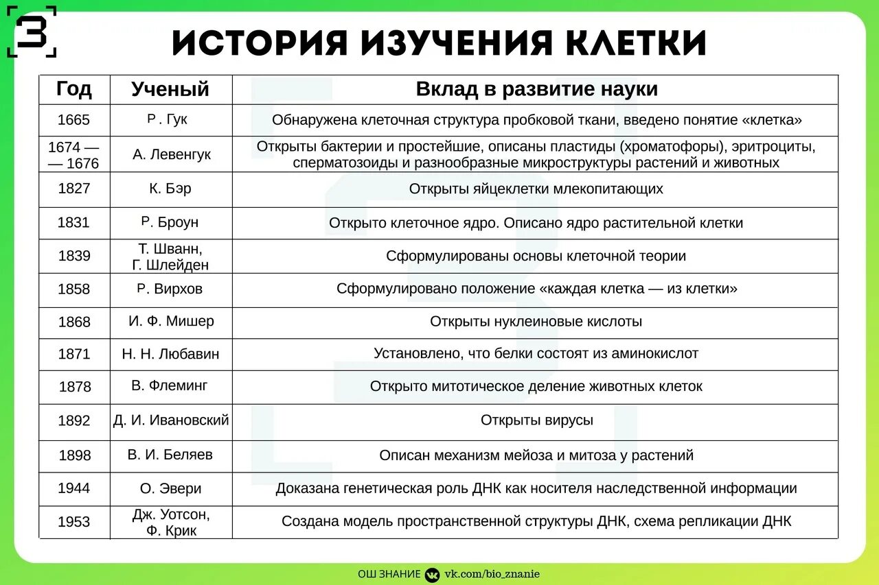 История открытия и изучения клетки 5 класс биология. История открытия и изучения клетки кратко. История изучения клетки клеточная теория 10 класс таблица. История изучения клетки таблица. Список открытия объектов