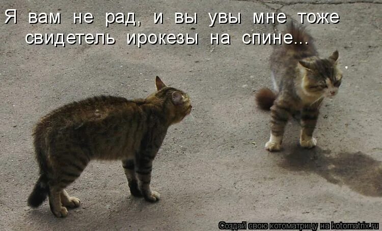 Очень рад тебя видеть. Я так рад тебя видеть. Я тоже рада тебя видеть. Я очень рада была тебя видеть.