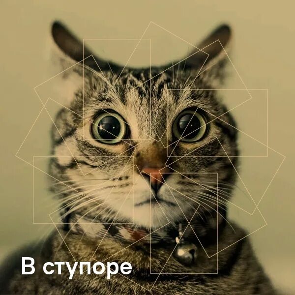 Человек в ступоре. Я в ступоре. Средний класс людей. Состояние ступора у человека. Кататонический синдром ступор.