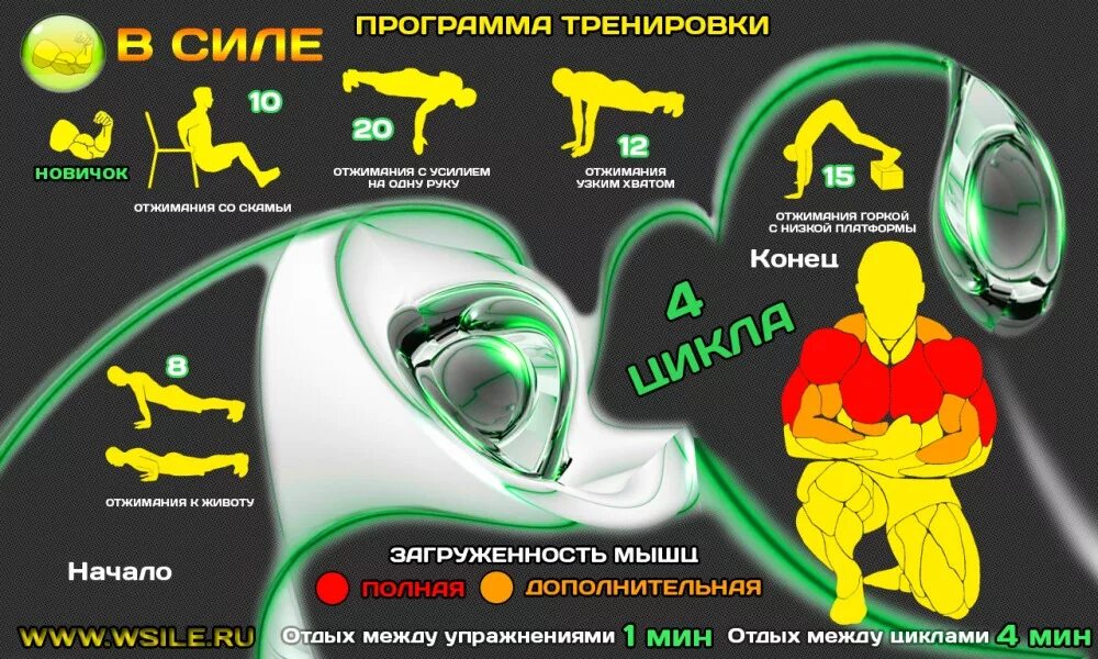 Программа тренировок дома без инвентаря. План тренировок. программа тренировок. программа тренировок на силу. в силе программы тренировок для мужчин.