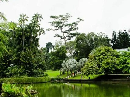 Botanical garden